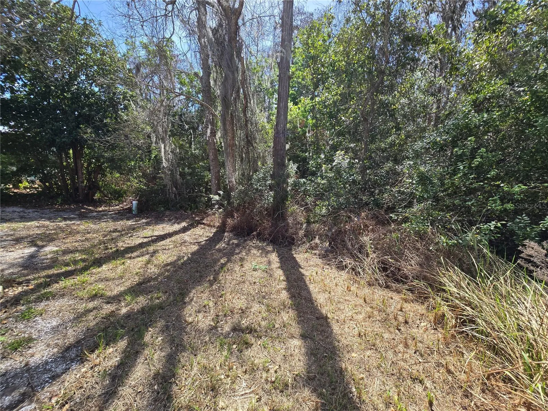 7139 Alamanda Boulevard W Lake Wales FL 33898