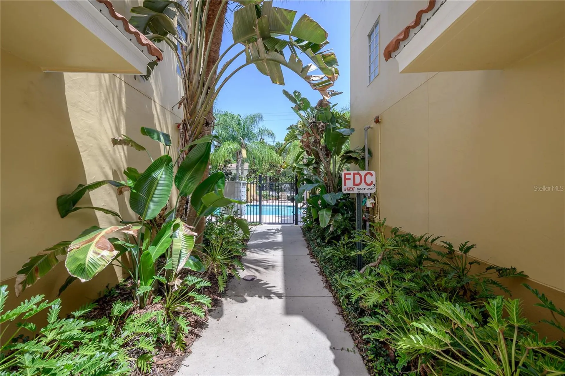 3308 Las Campos Place Tampa FL 33611
