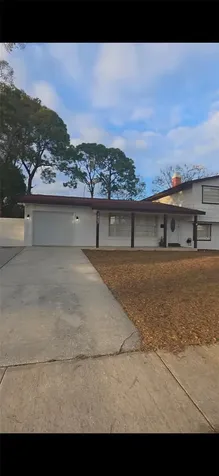 7907 W Hiawatha Street Tampa FL 33615