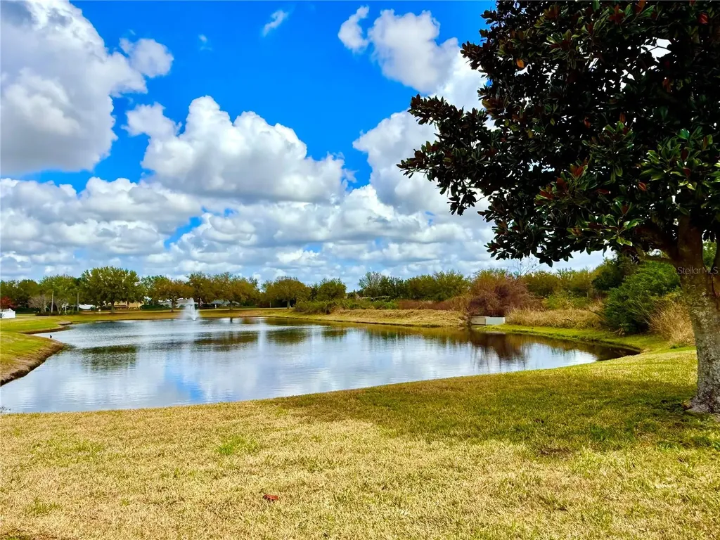11338 Laurel Brook Court Riverview FL 33569