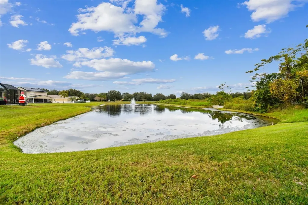 11338 Laurel Brook Court Riverview FL 33569