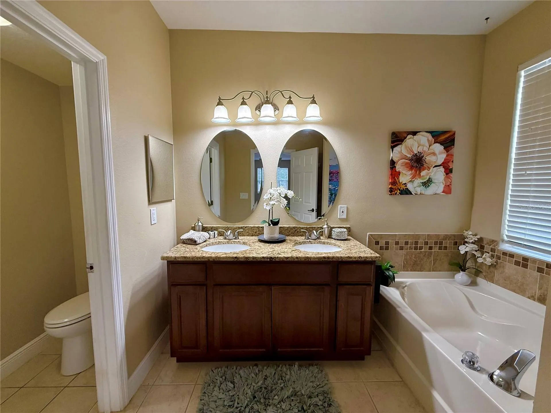 11338 Laurel Brook Court Riverview FL 33569