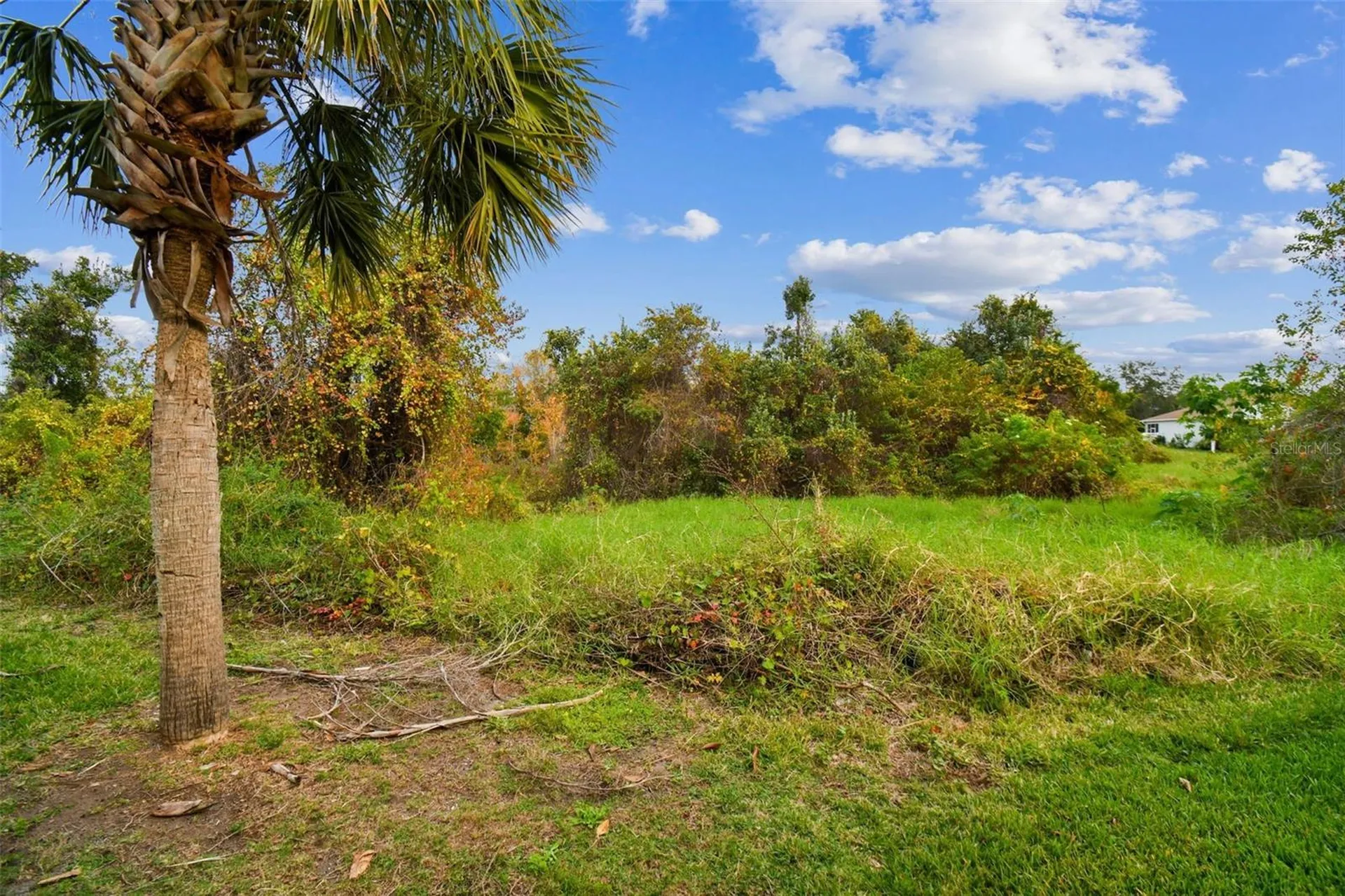 11338 Laurel Brook Court Riverview FL 33569