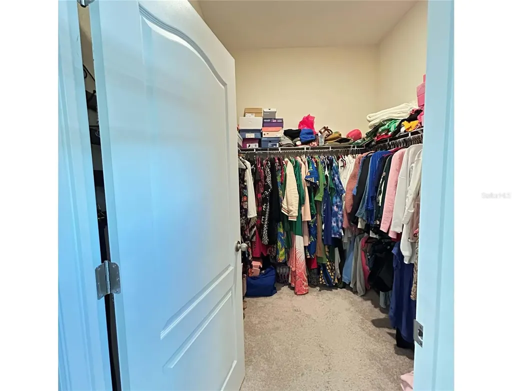 1884 Ibis Bay Court Ocoee FL 34761