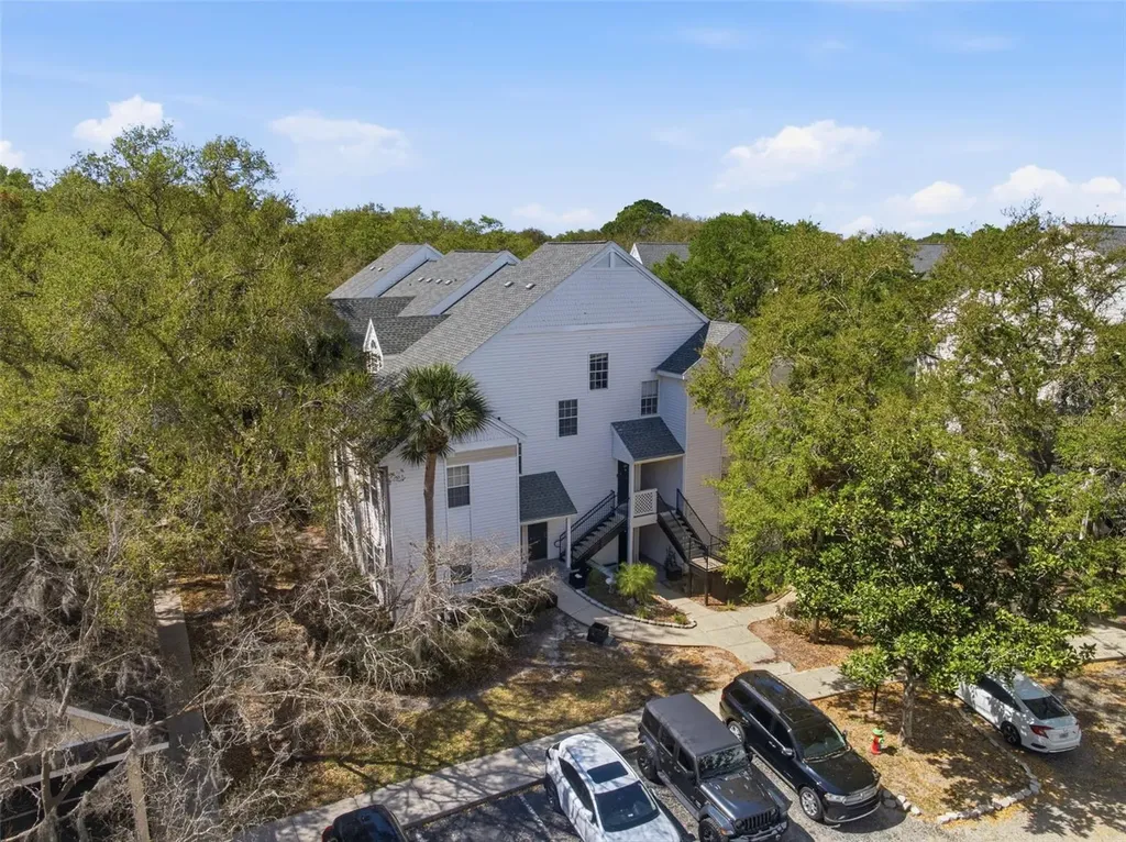 3274 Haviland Court Palm Harbor FL 34684