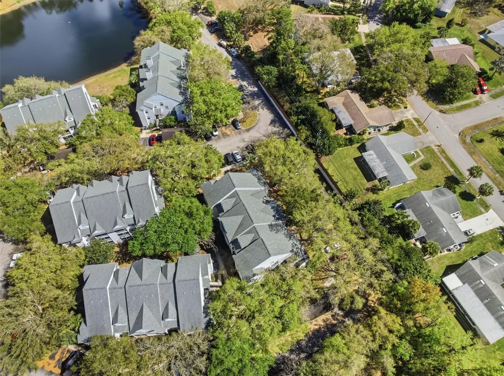 3274 Haviland Court Palm Harbor FL 34684