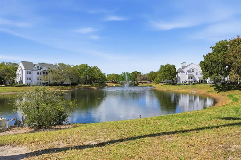 3274 Haviland Court Palm Harbor FL 34684