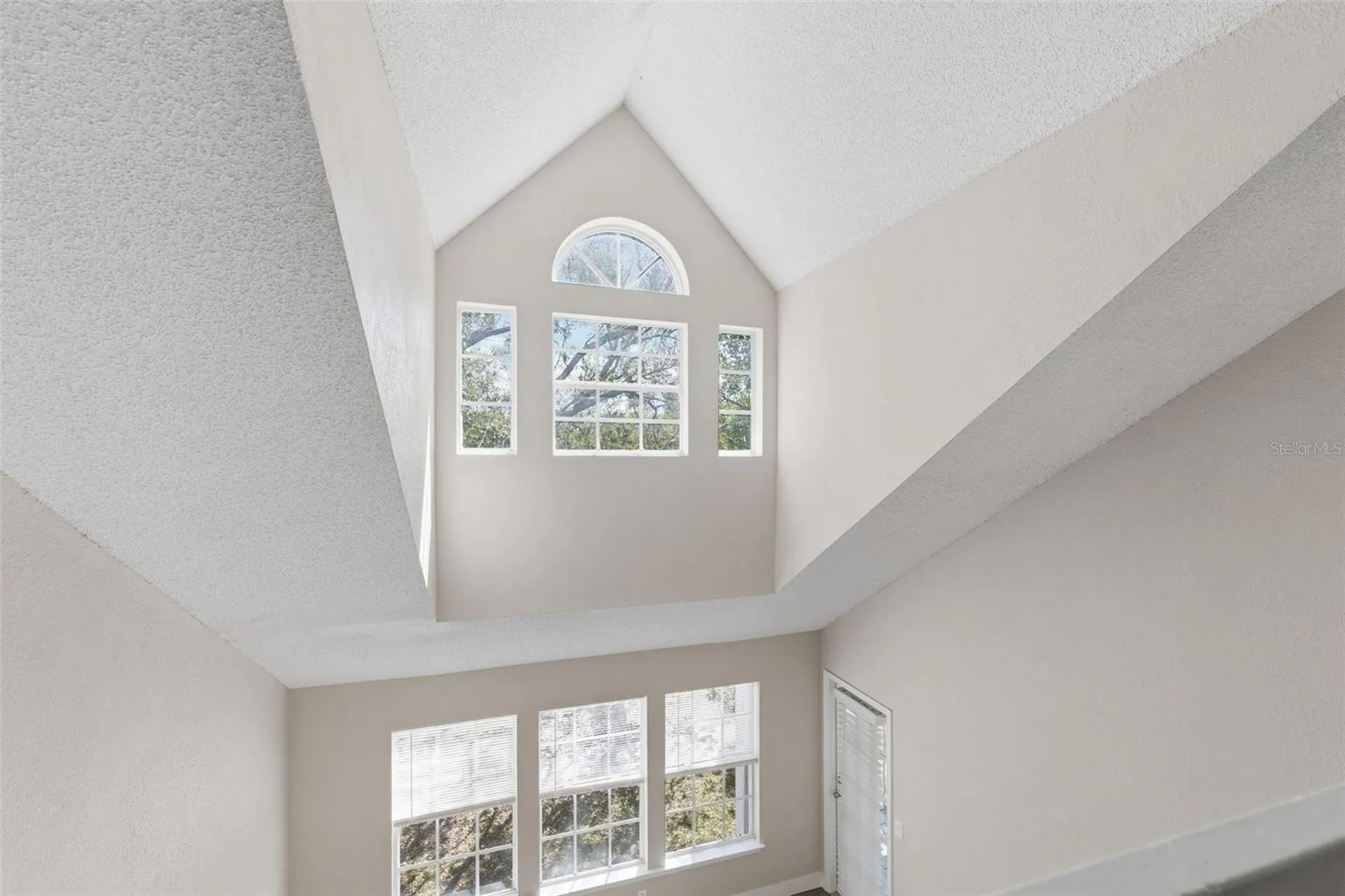 3274 Haviland Court Palm Harbor FL 34684