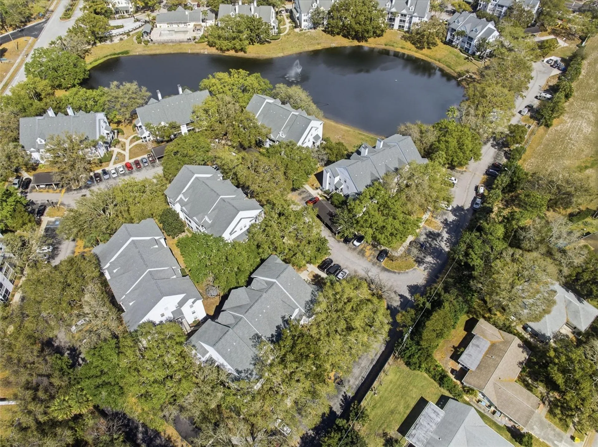 3274 Haviland Court Palm Harbor FL 34684