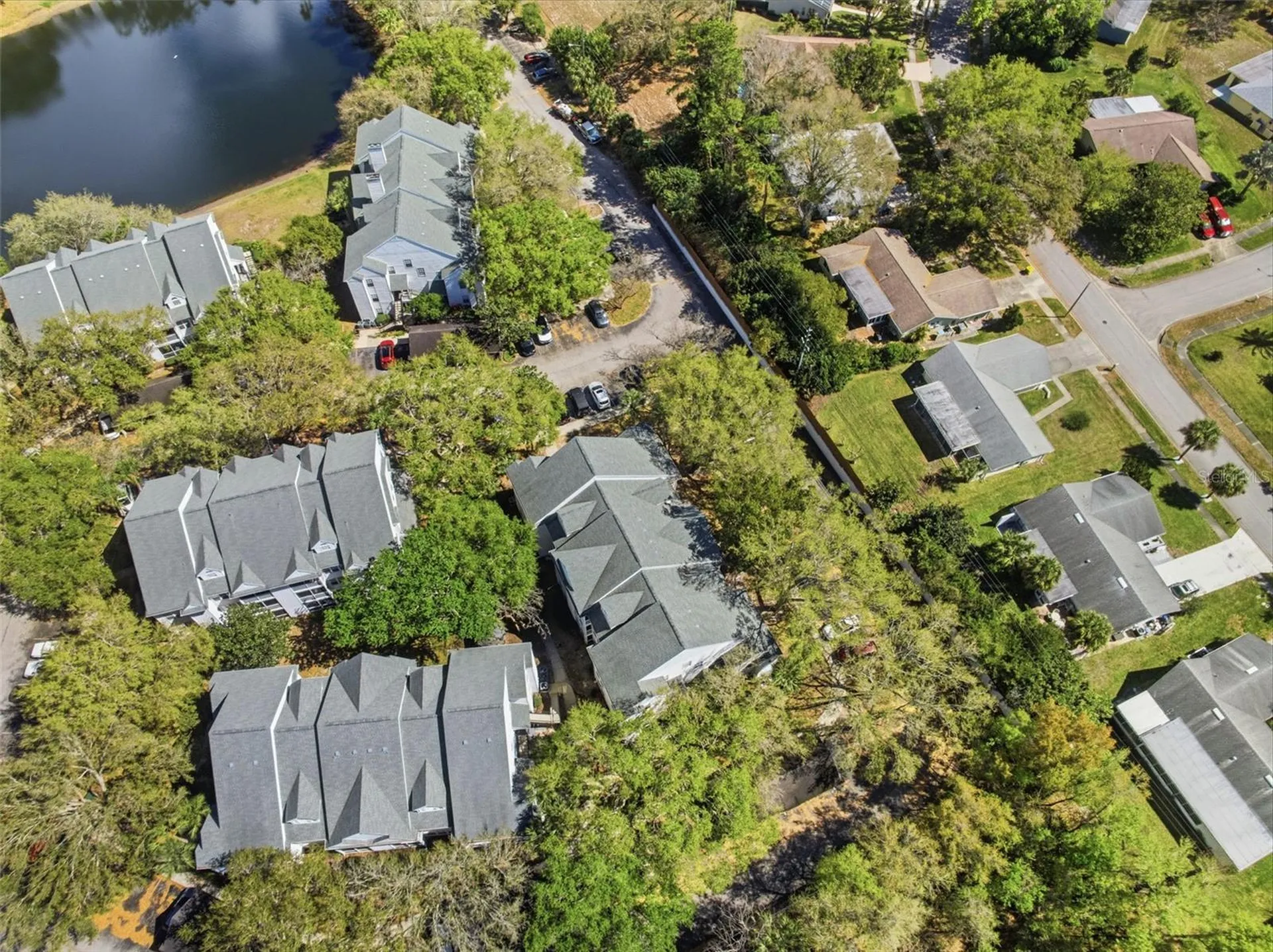 3274 Haviland Court Palm Harbor FL 34684
