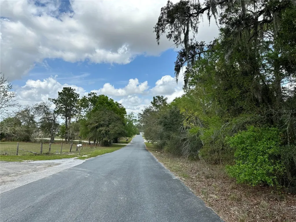 Tbd SE 30th Street Morriston FL 32668