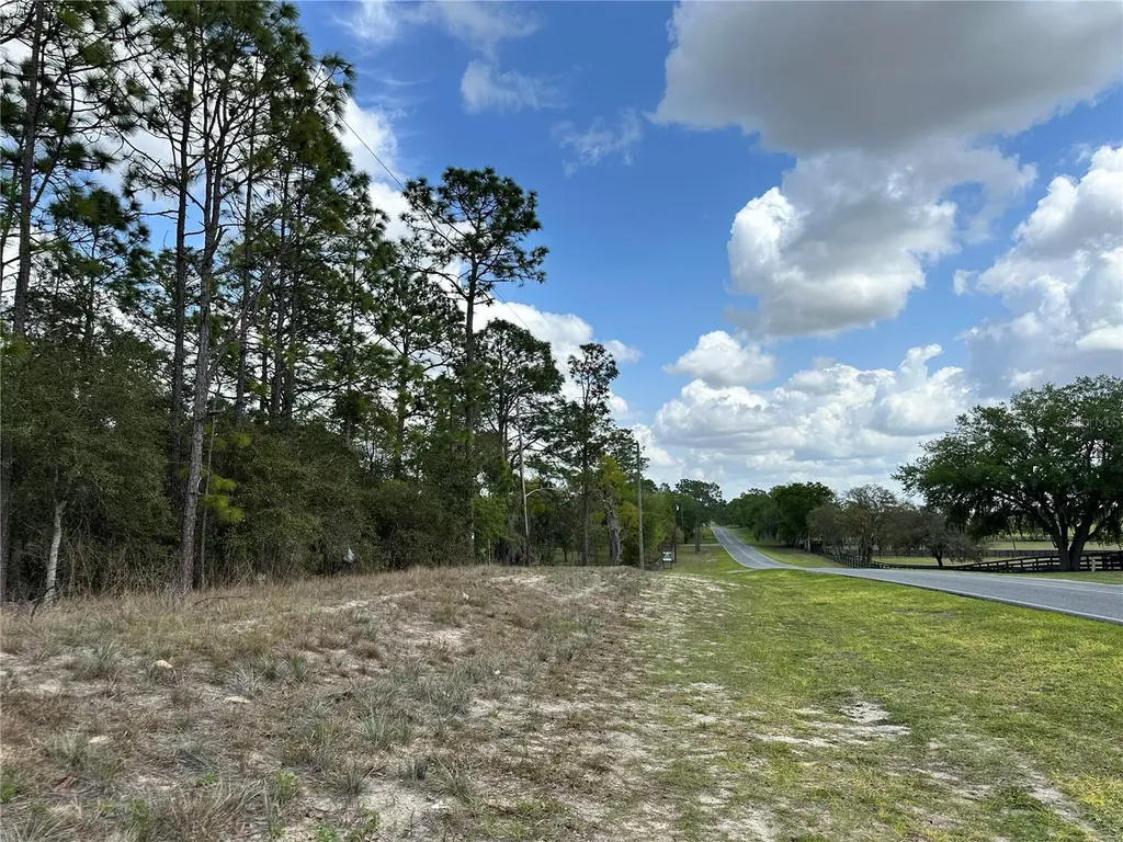 Tbd SE 30th Street Morriston FL 32668