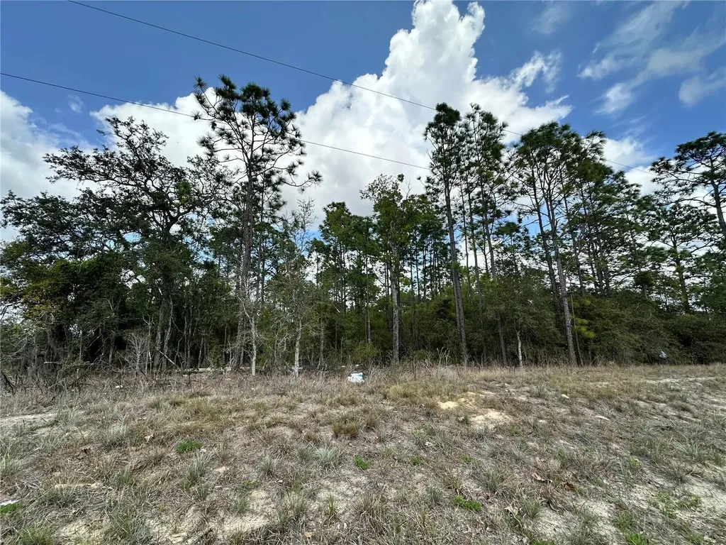 Tbd SE 30th Street Morriston FL 32668