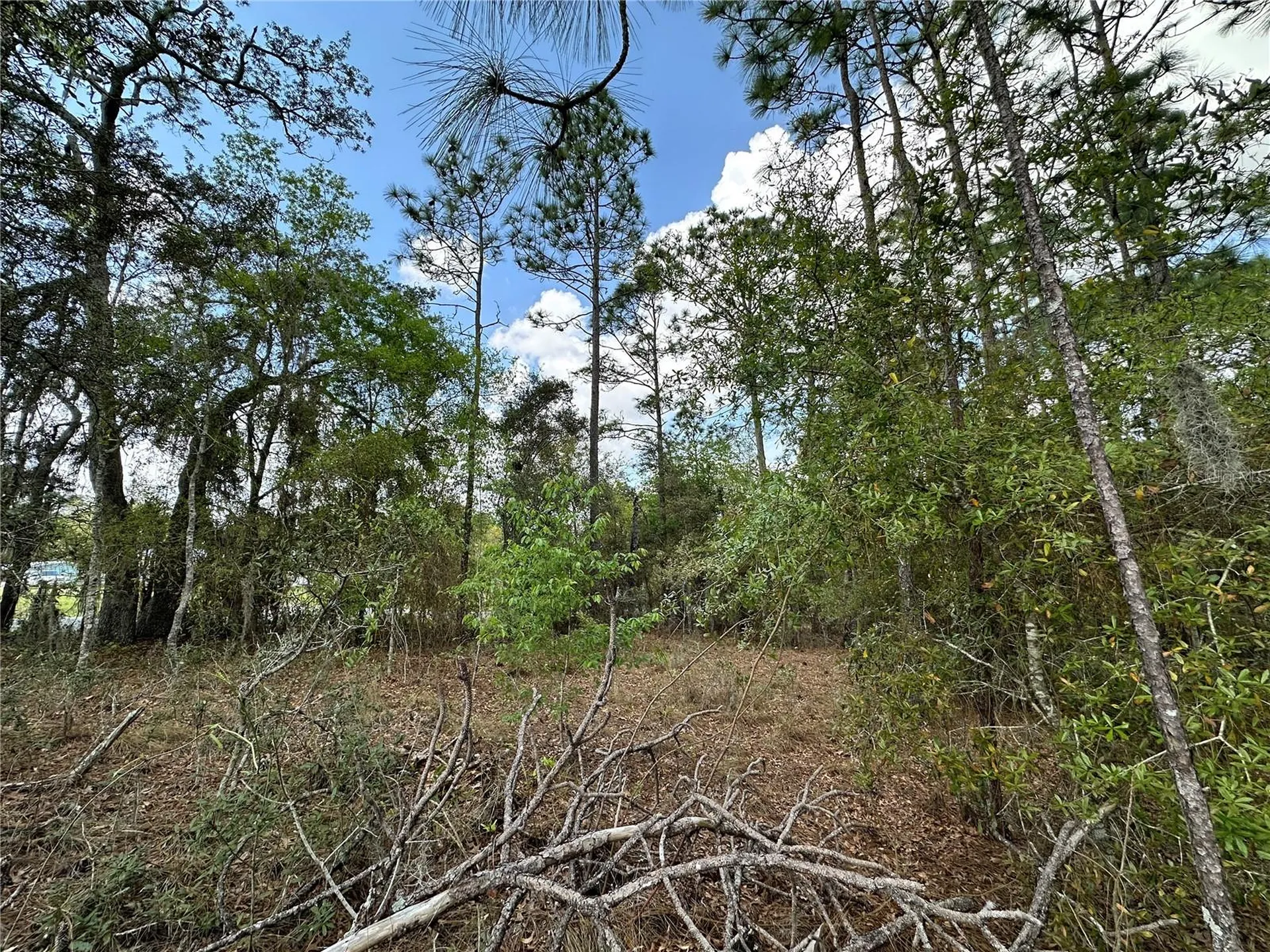 Tbd SE 30th Street Morriston FL 32668