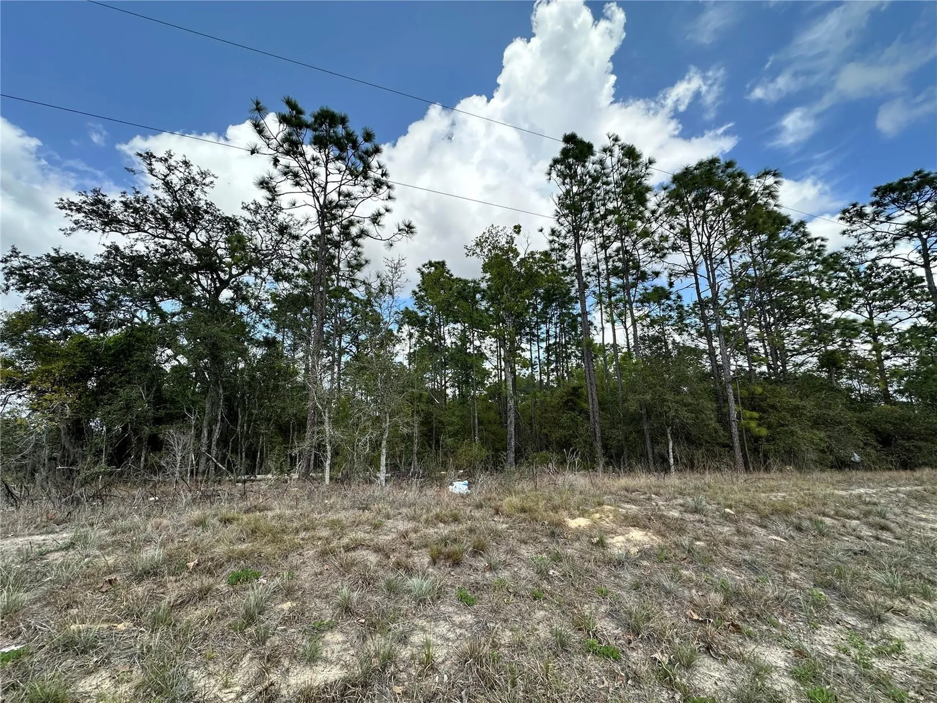 Tbd SE 30th Street Morriston FL 32668
