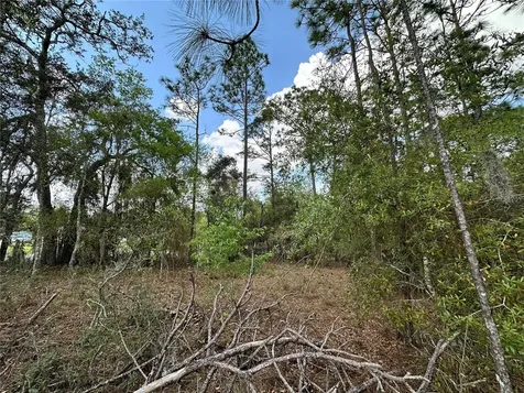 Tbd SE 30th Street Morriston FL 32668