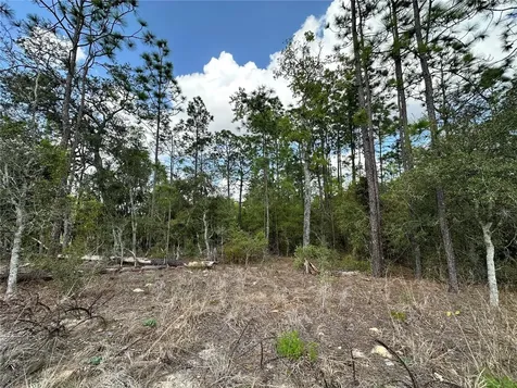 Tbd SE 30th Street Morriston FL 32668