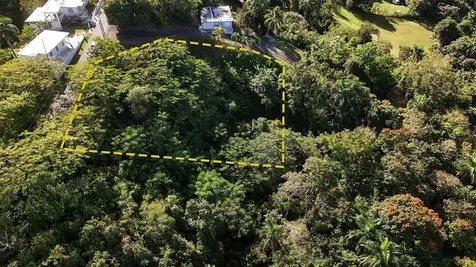 Bo. Cruces Carr 414 Km. Hm. 0.5 Rincon PR 00677