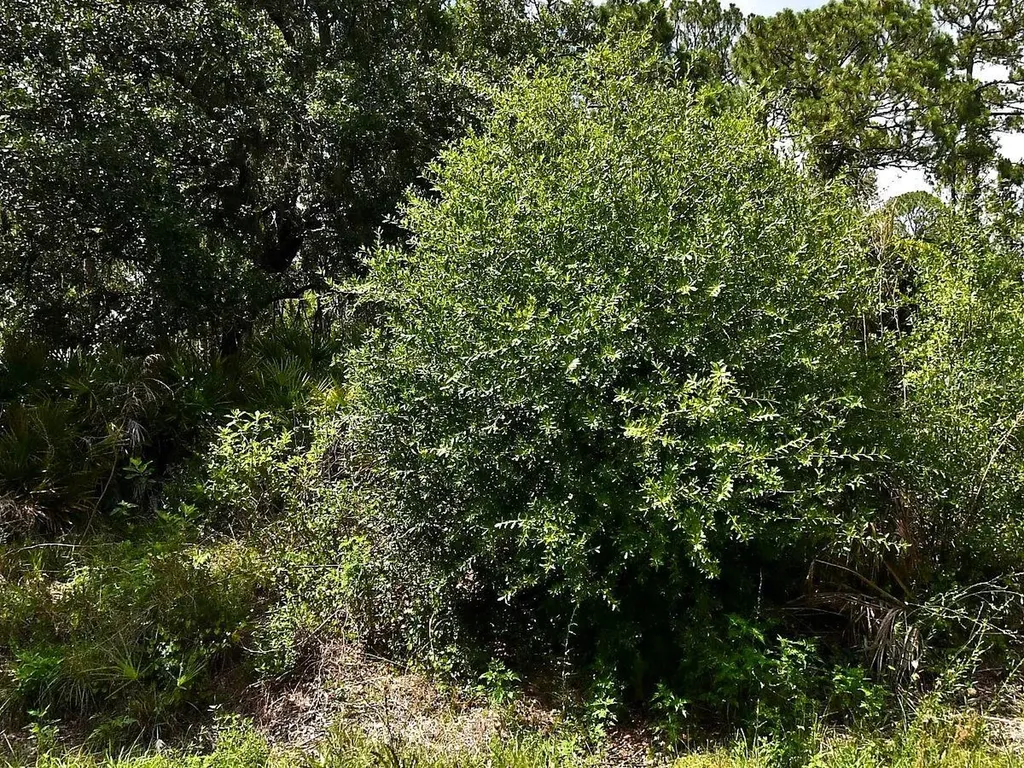 Lot 16 Rentscher Avenue North Port FL 34291