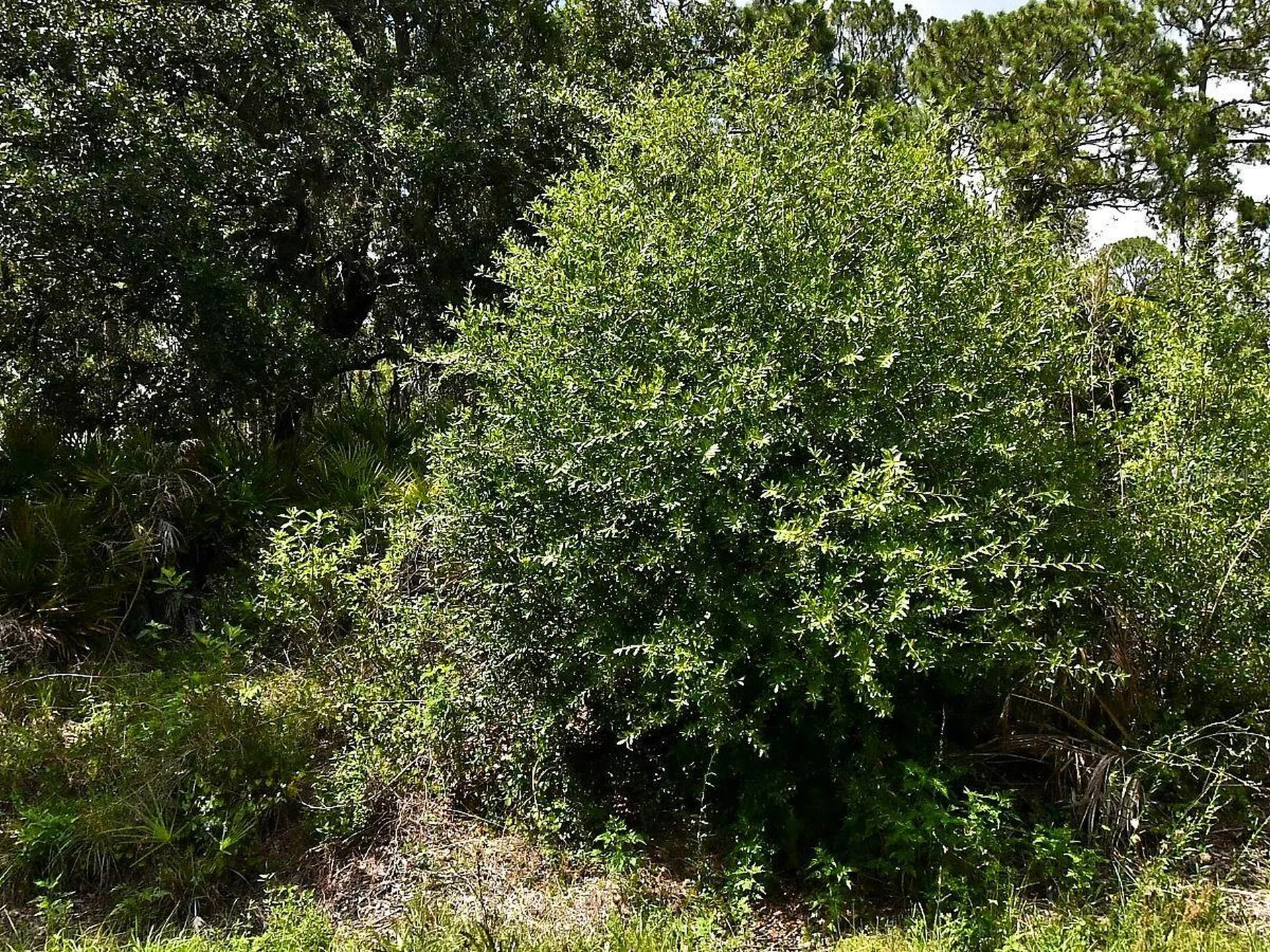 Lot 16 Rentscher Avenue North Port FL 34291