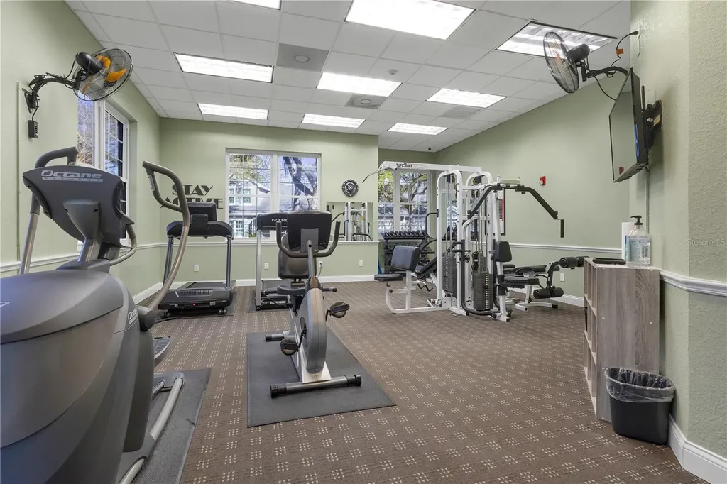 3482 Kings Road Palm Harbor FL 34685