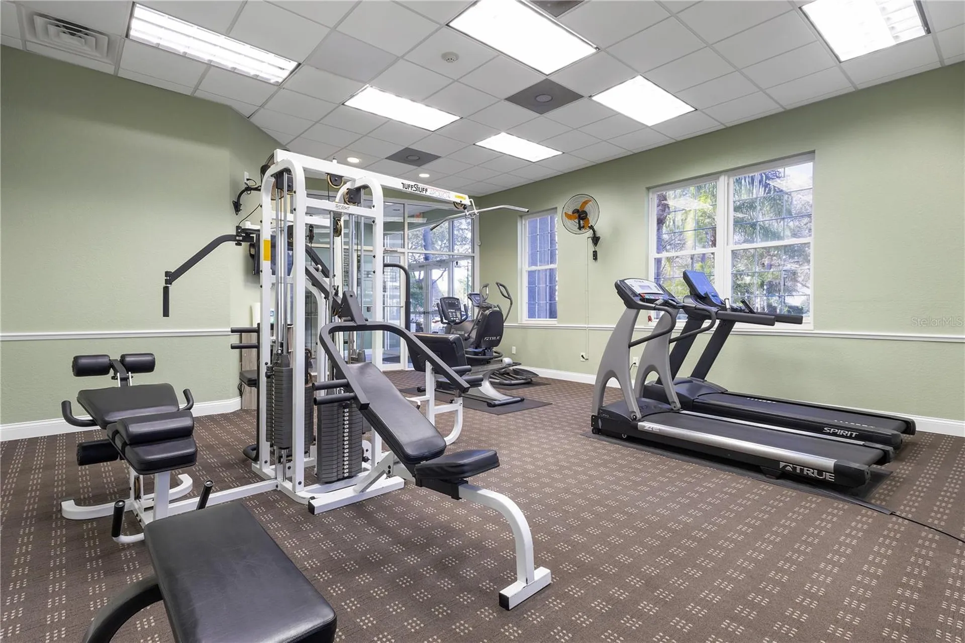 3482 Kings Road Palm Harbor FL 34685