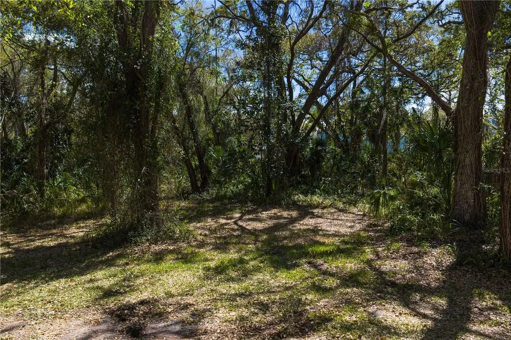 8004 Bay Drive Tampa FL 33635