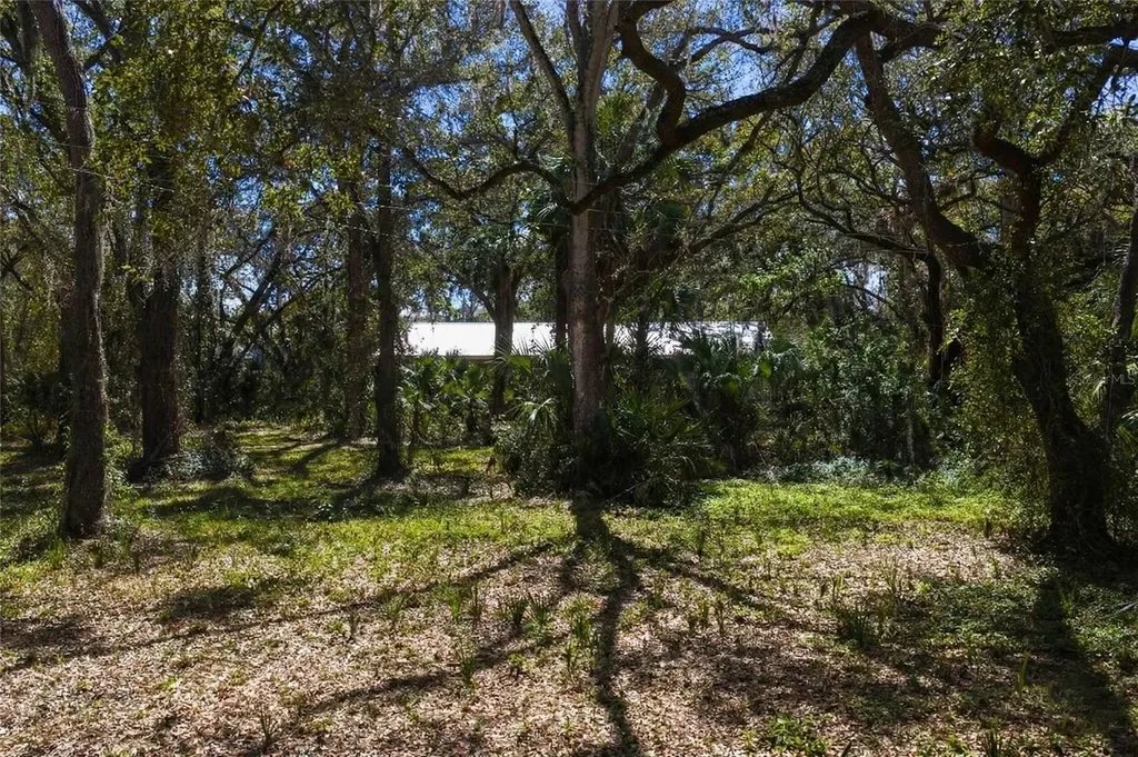 8004 Bay Drive Tampa FL 33635