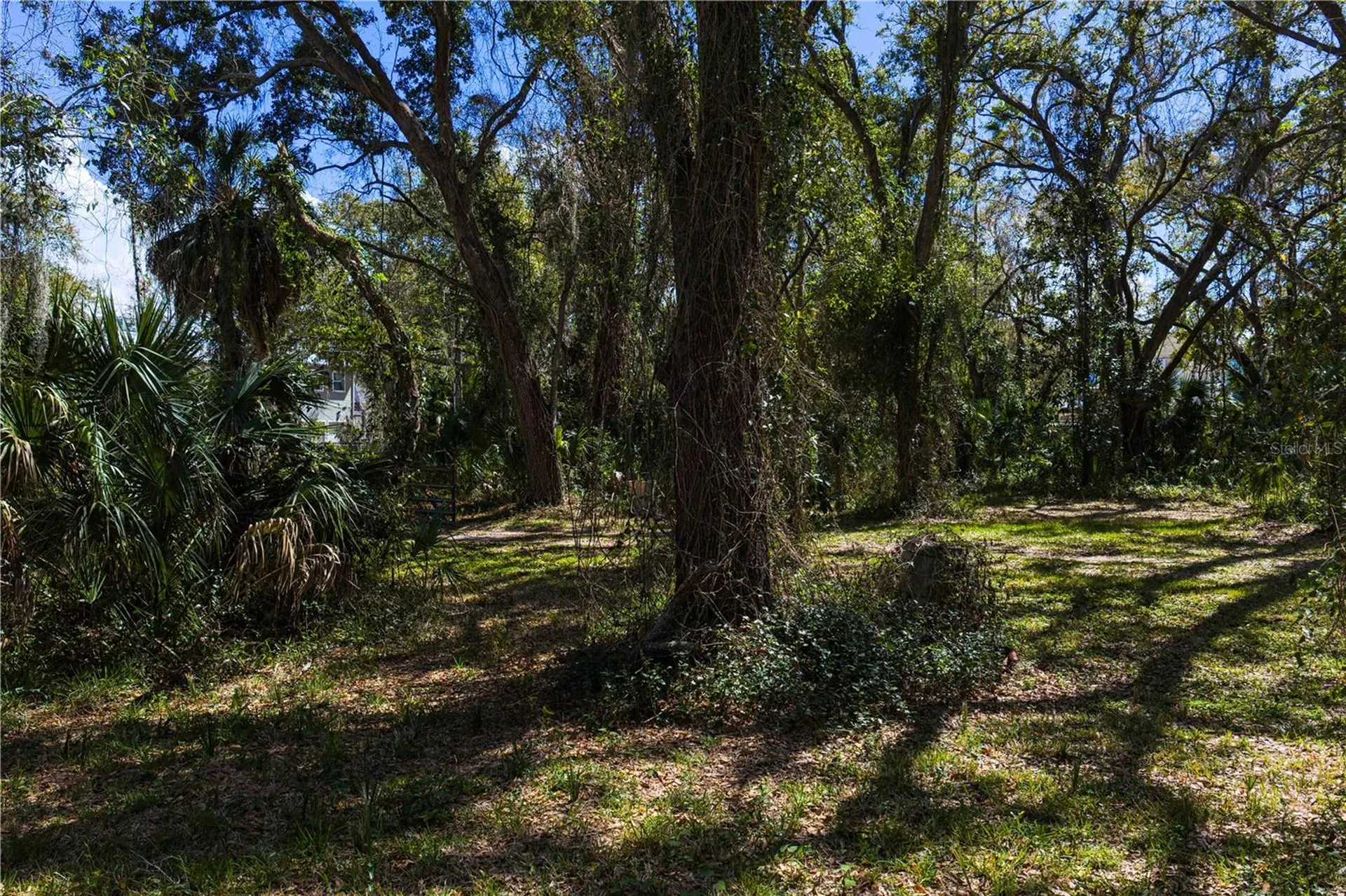 8004 Bay Drive Tampa FL 33635