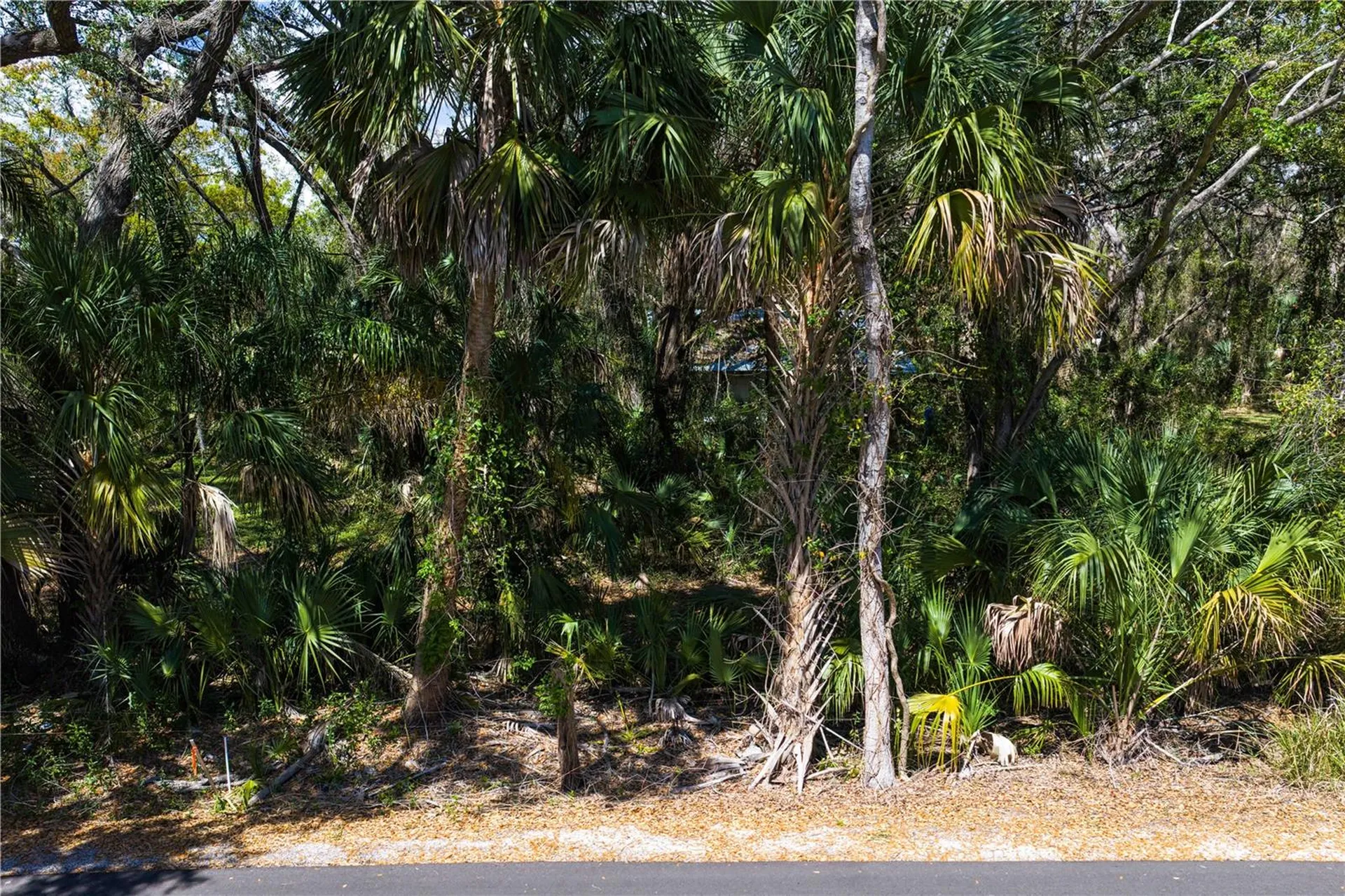 8004 Bay Drive Tampa FL 33635