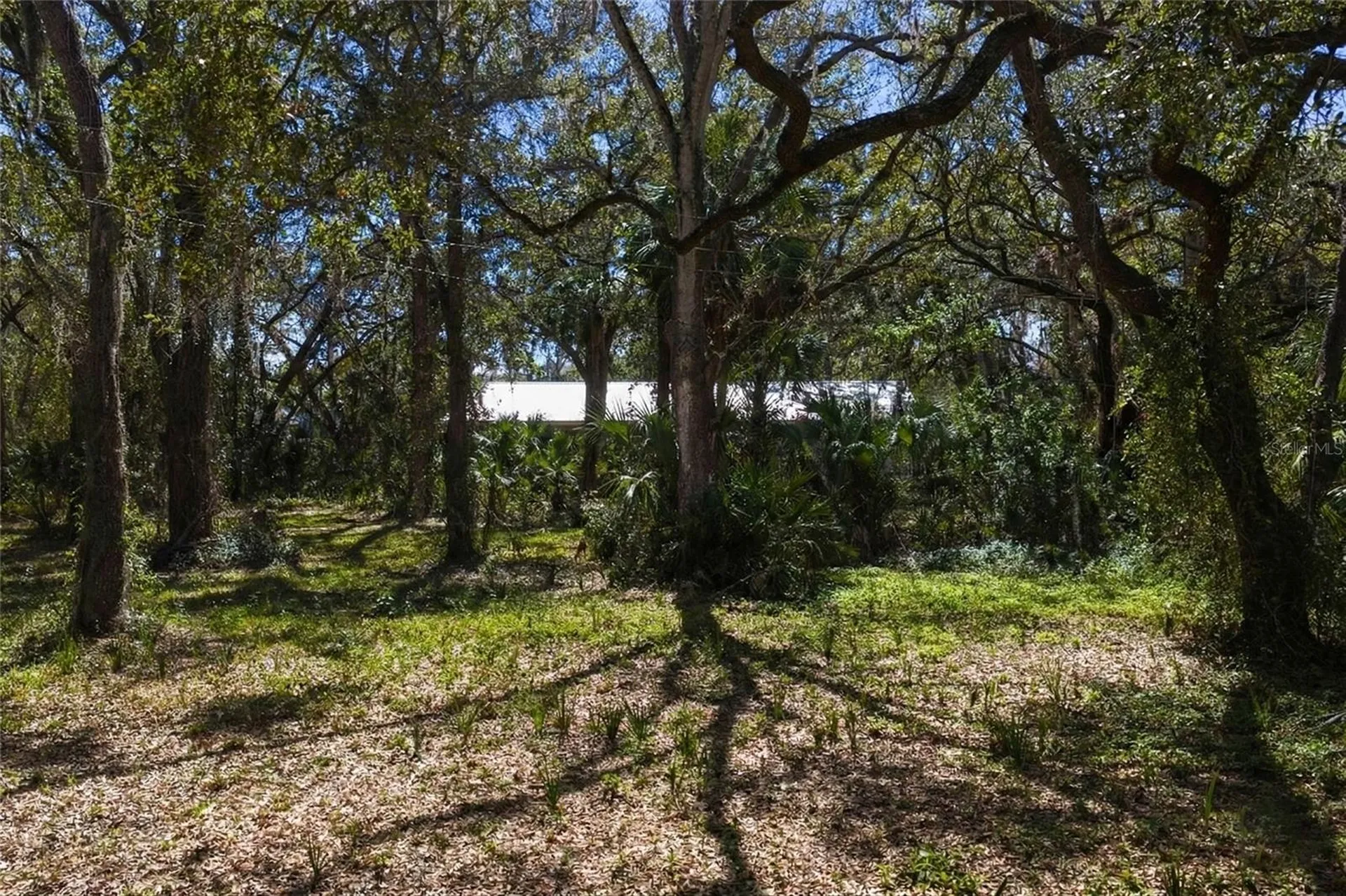 8004 Bay Drive Tampa FL 33635