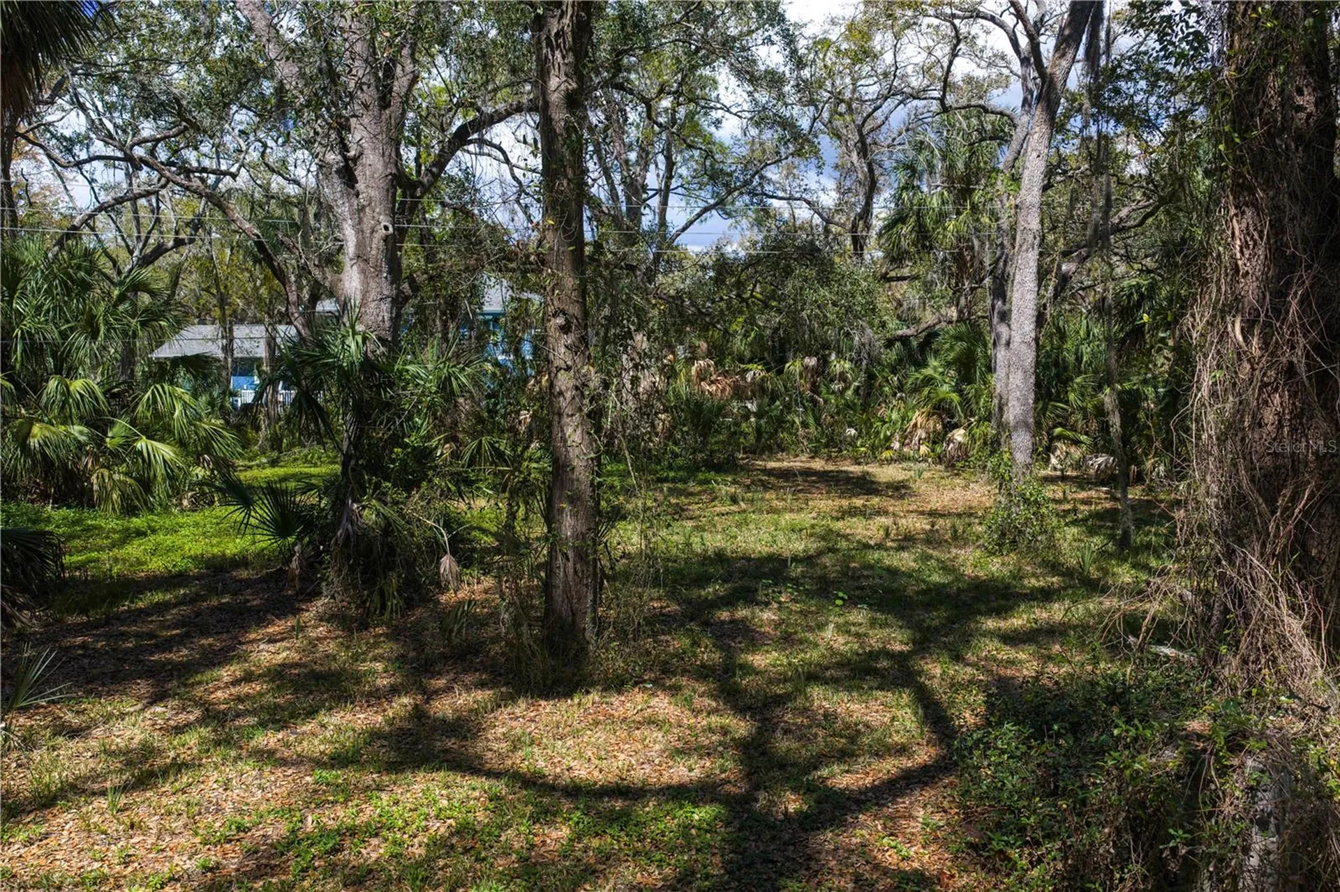 8004 Bay Drive Tampa FL 33635