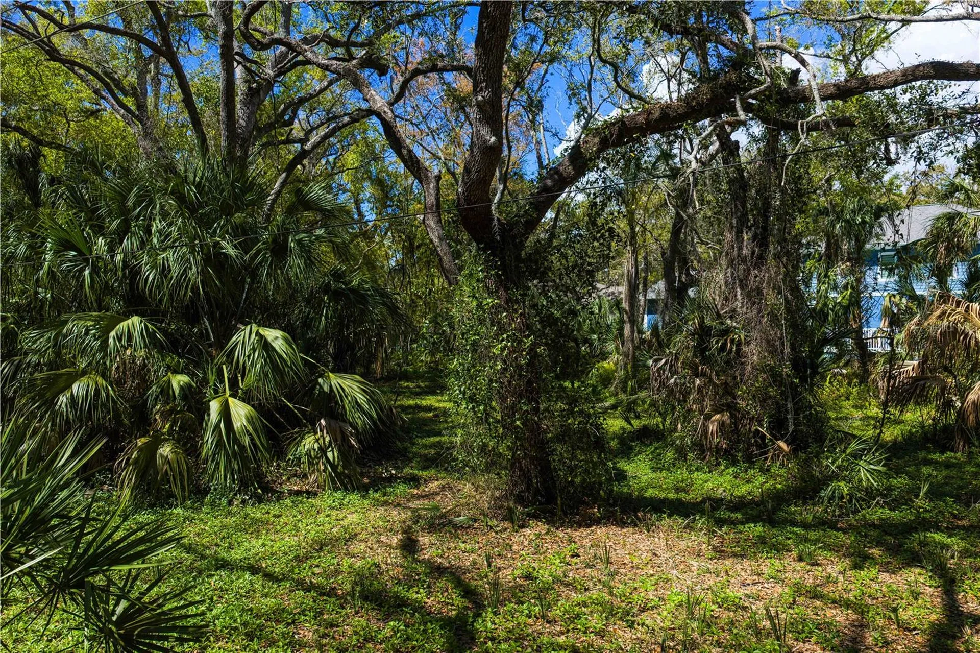 8004 Bay Drive Tampa FL 33635