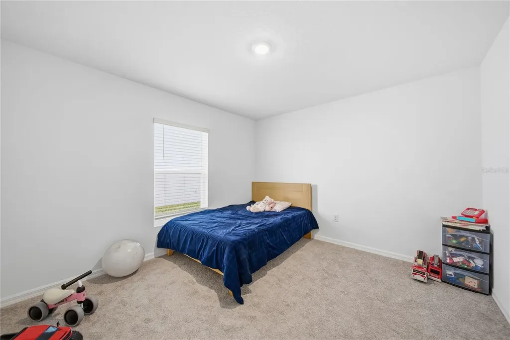 3189 Living Coral Street Wimauma FL 33598