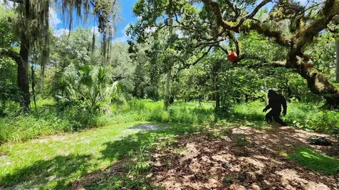 389 Longhorn Drive River Ranch FL 33867