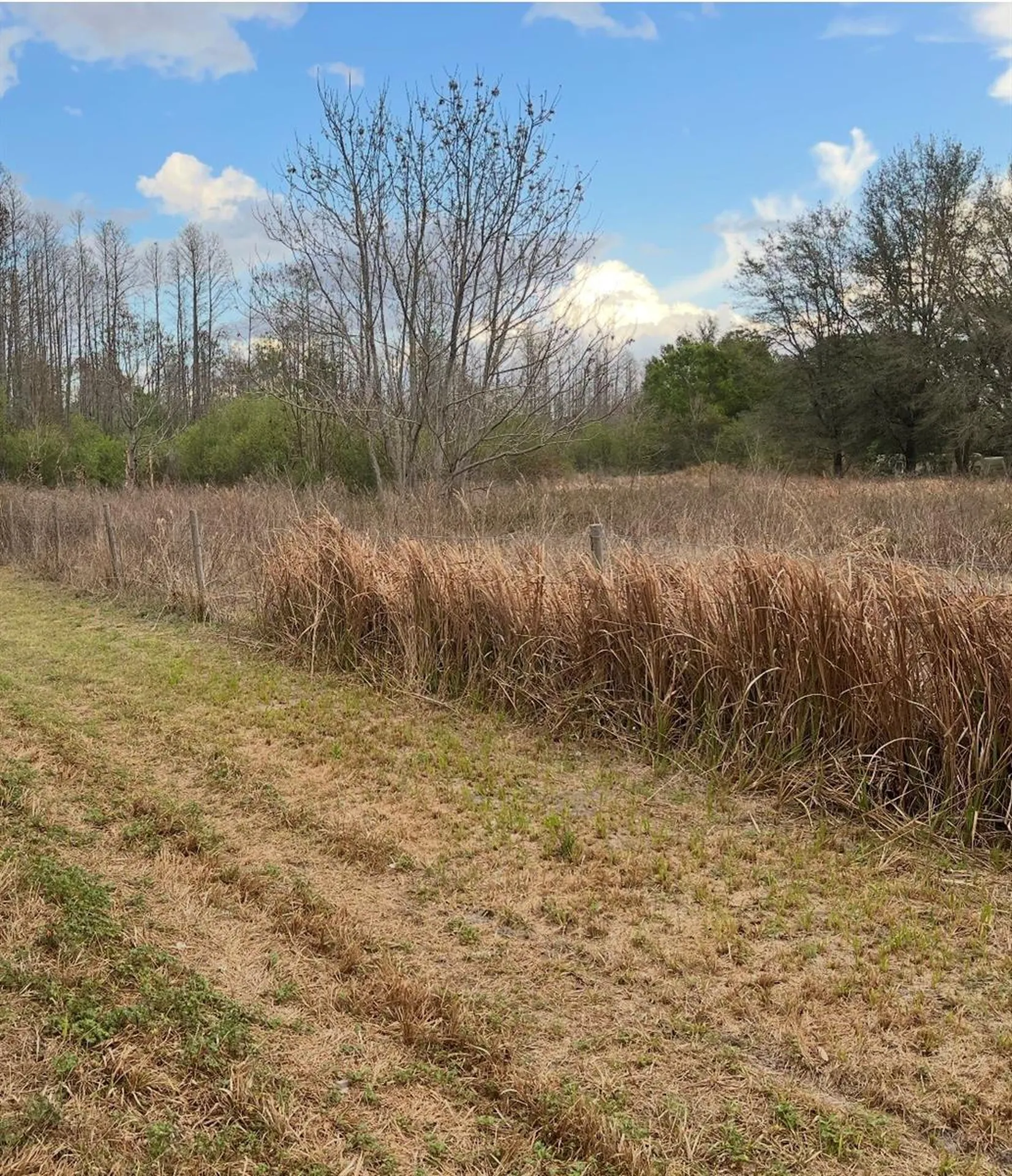 SR-33 Clermont FL 34714