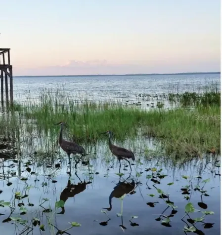 11130 Shore Drive Lake Wales FL 33898