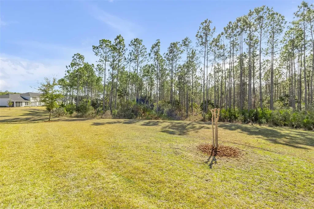 13 Newhaven Lane Ormond Beach FL 32174