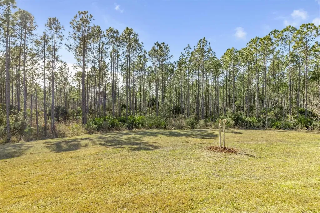 13 Newhaven Lane Ormond Beach FL 32174