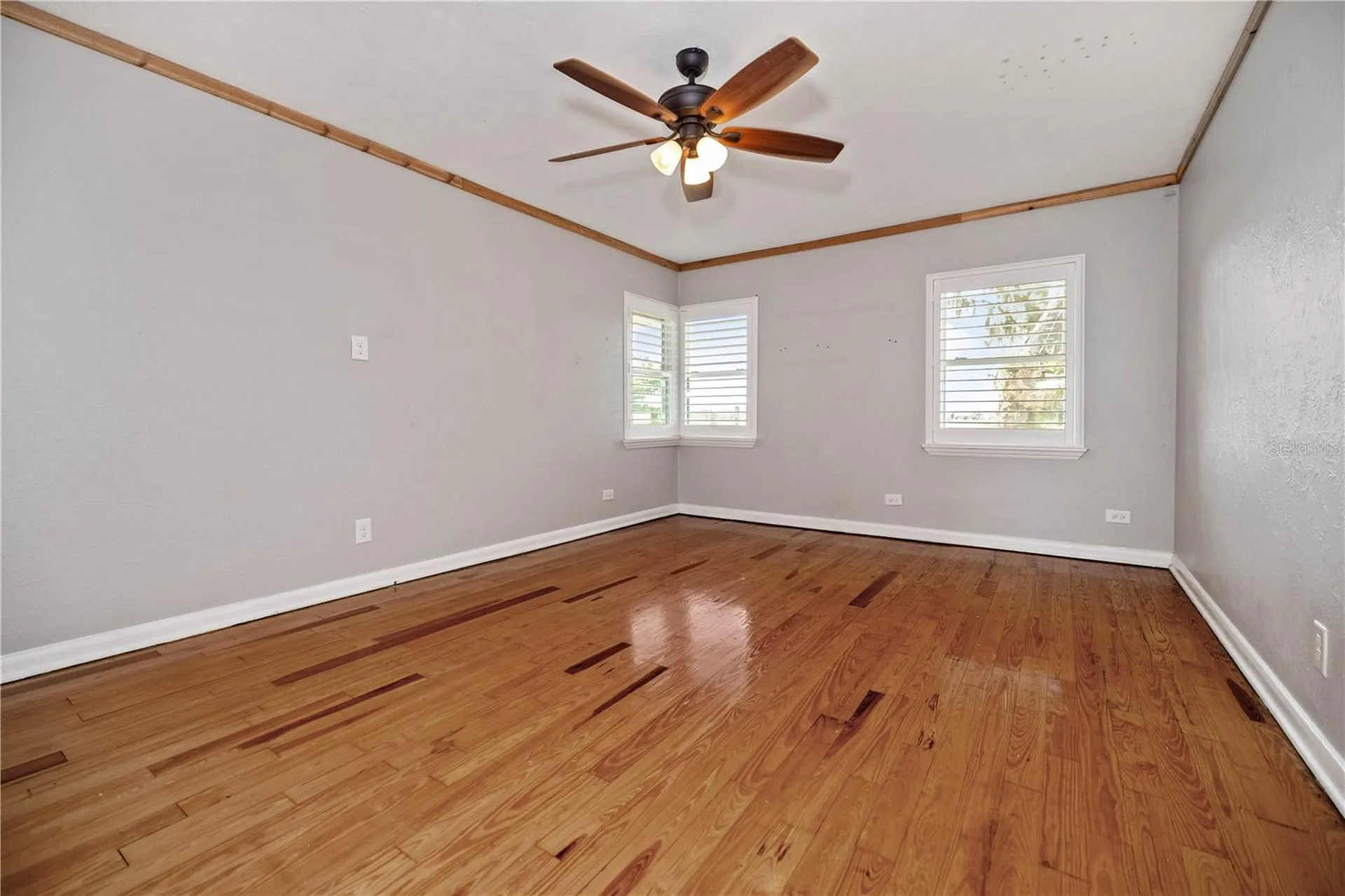 4019 Moores Lake Road Dover FL 33527