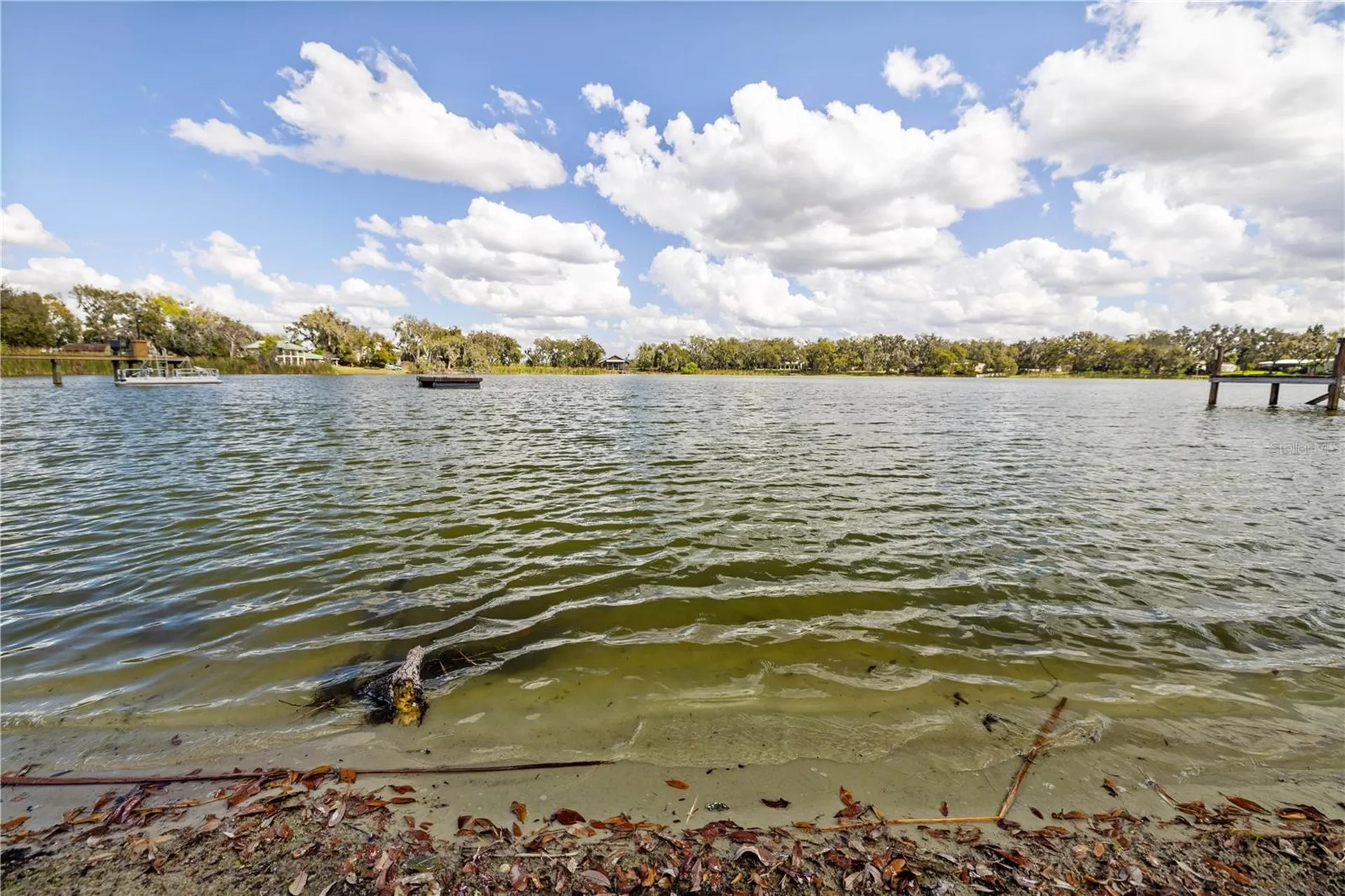 4019 Moores Lake Road Dover FL 33527