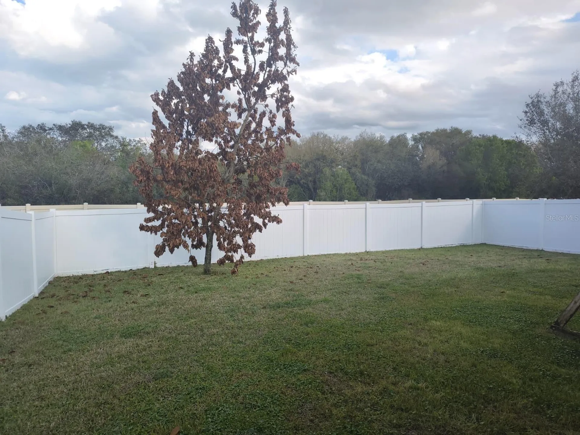 3031 Sanderling Street Haines City FL 33844
