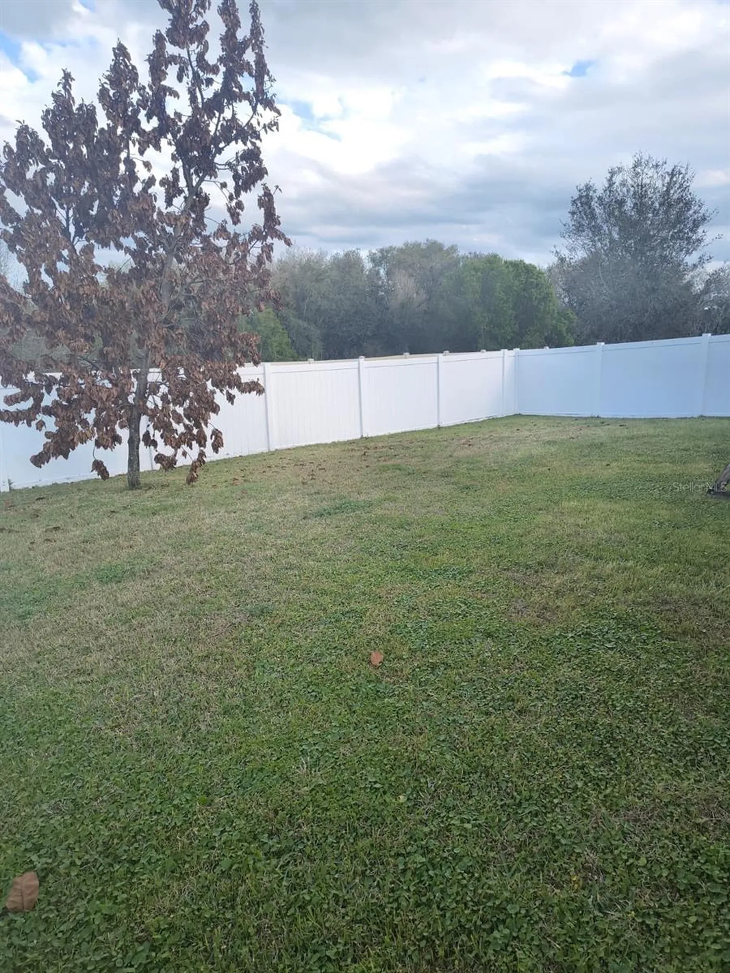 3031 Sanderling Street Haines City FL 33844