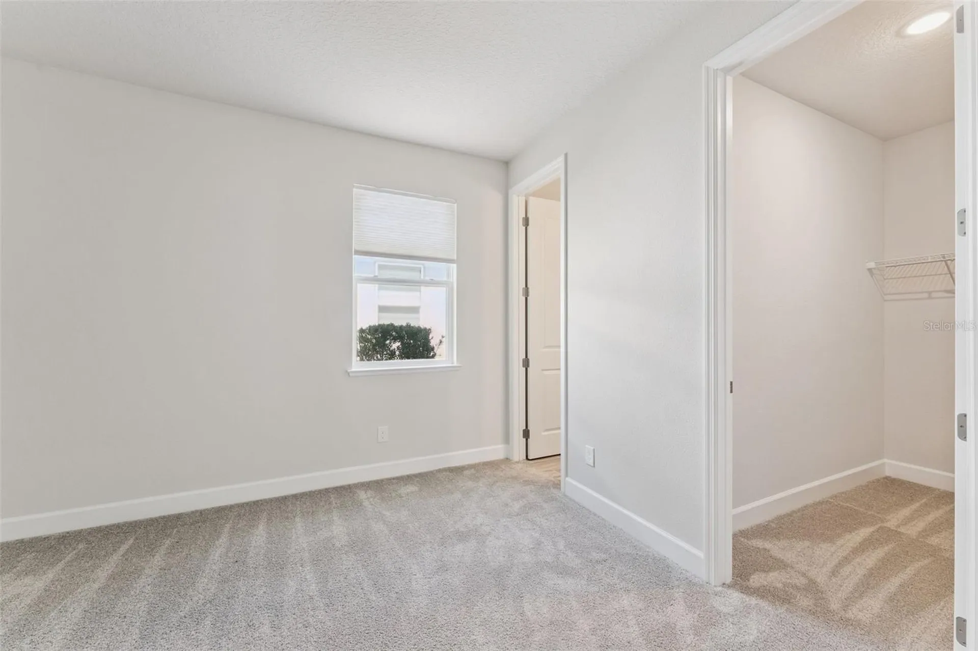 2682 Park Ridge Street Apopka FL 32712