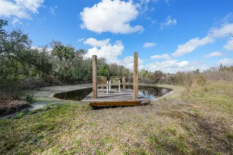 9796 SW Southern Dreams Road Arcadia FL 34269