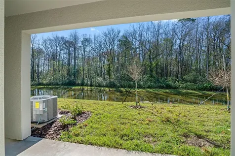17425 Nectar Flume Drive Land O Lakes FL 34638