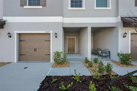 17425 Nectar Flume Drive Land O Lakes FL 34638