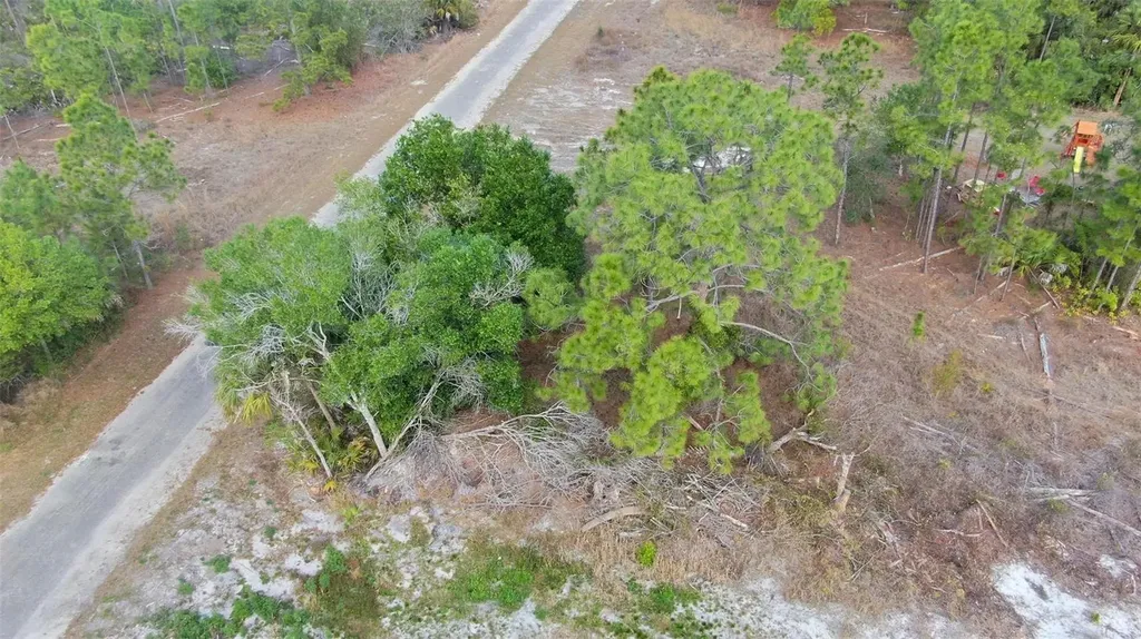 841 Dante Avenue S Lehigh Acres FL 33974