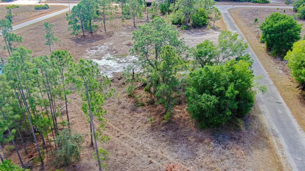 841 Dante Avenue S Lehigh Acres FL 33974