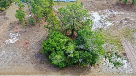 841 Dante Avenue S Lehigh Acres FL 33974
